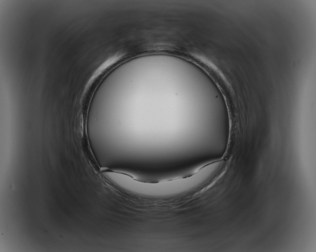 X0000082951317200703020141