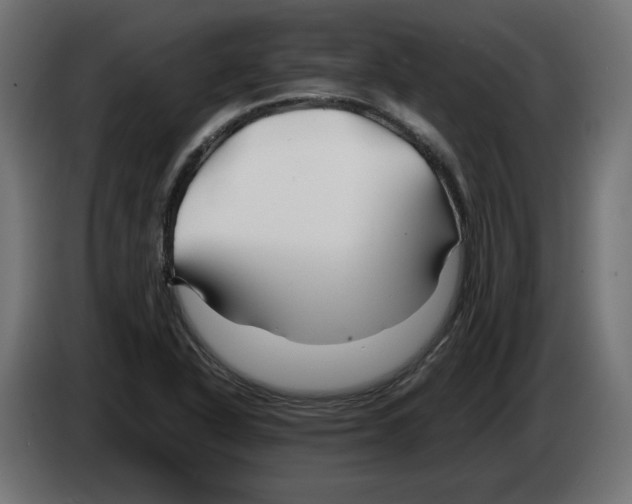 X0000082951318200703020141