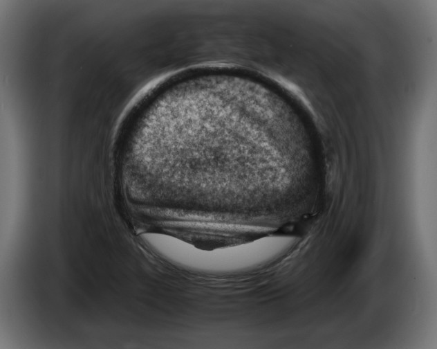 X0000082951319200703020141