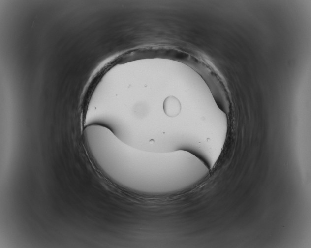 X0000082951320200703020141