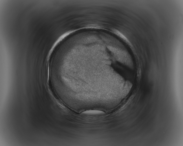 X0000082951323200703020141