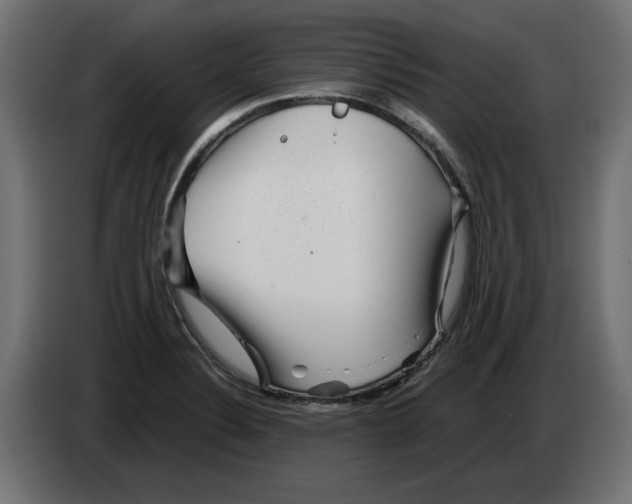 X0000082951324200703020141