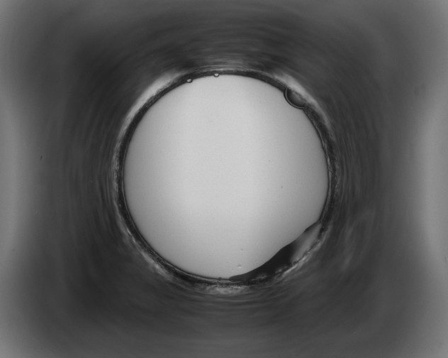 X0000082951325200703020141