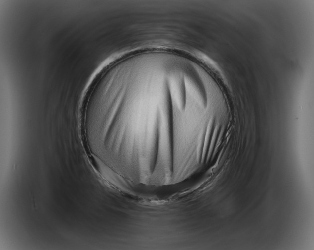 X0000082951326200703020141