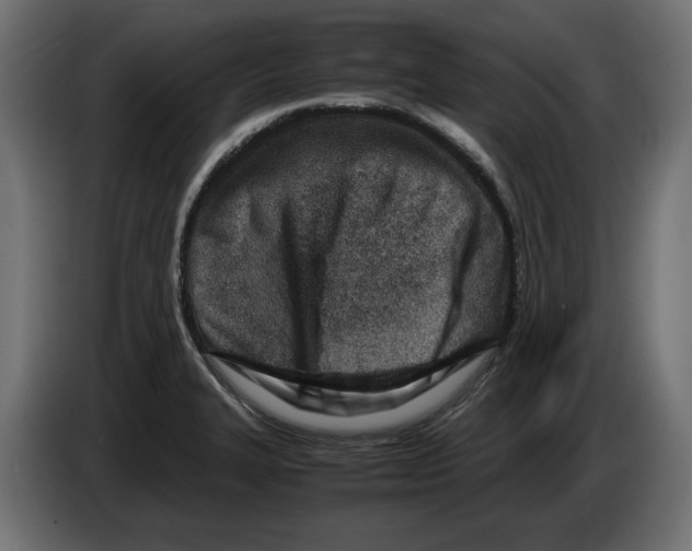 X0000082951327200703020141