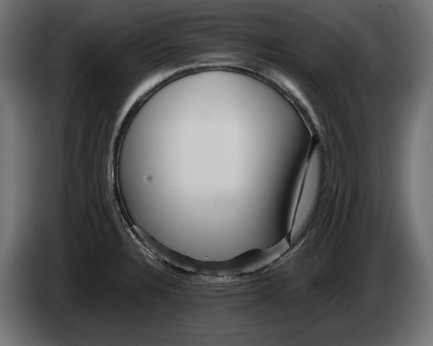 X0000082951328200703020141