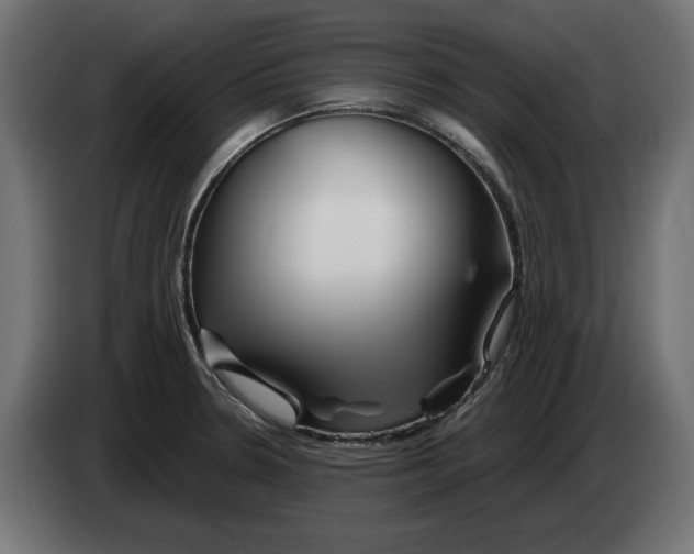 X0000082951330200703020141