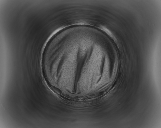 X0000082951331200703020141