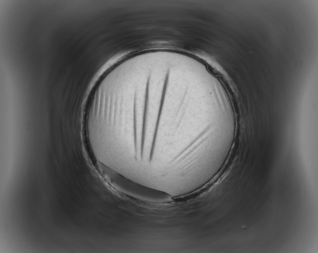 X0000082951333200703020141