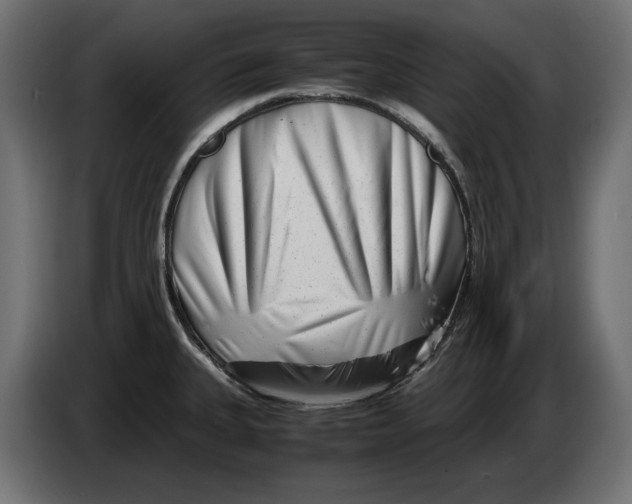 X0000082951335200703020141