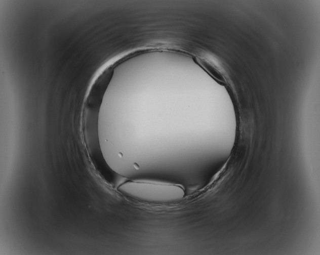 X0000082951336200703020141