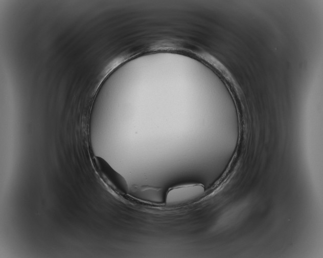 X0000082951337200703020141