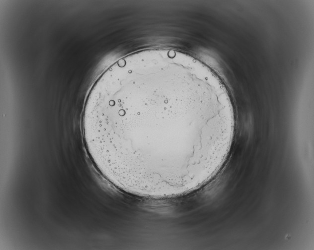 X0000082951338200703020141