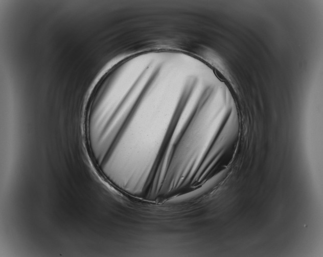 X0000082951339200703020141