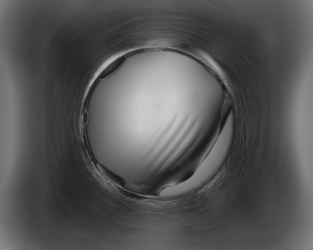 X0000082951340200703020141