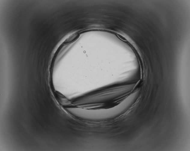 X0000082951341200703020141