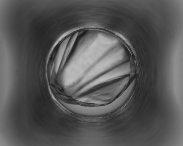 X0000082951342200703020141