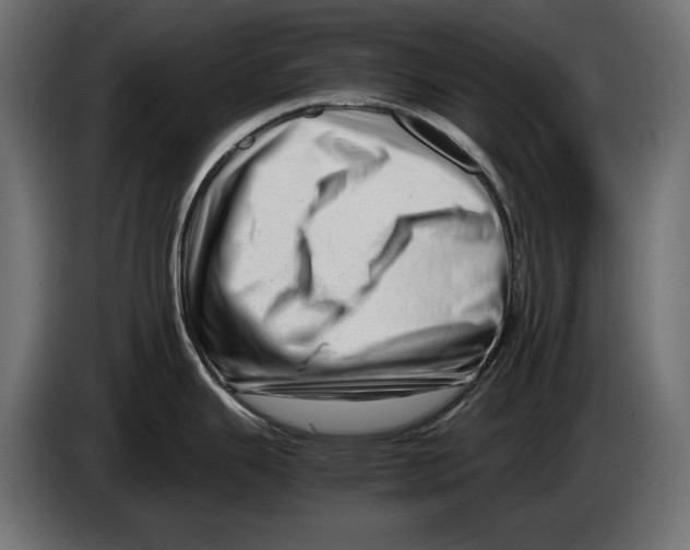 X0000082951343200703020141