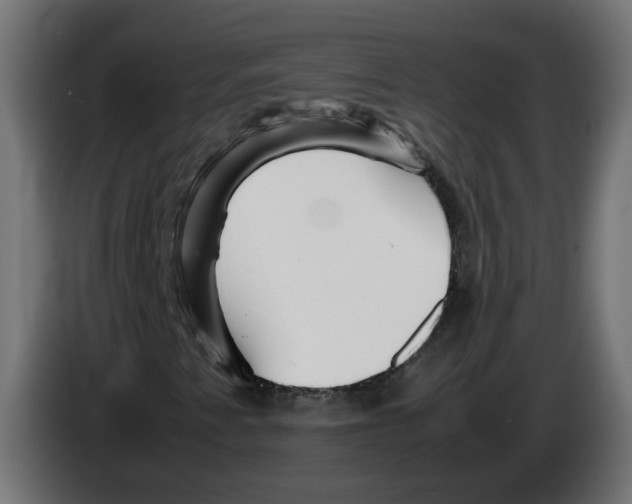 X0000082951345200703020140