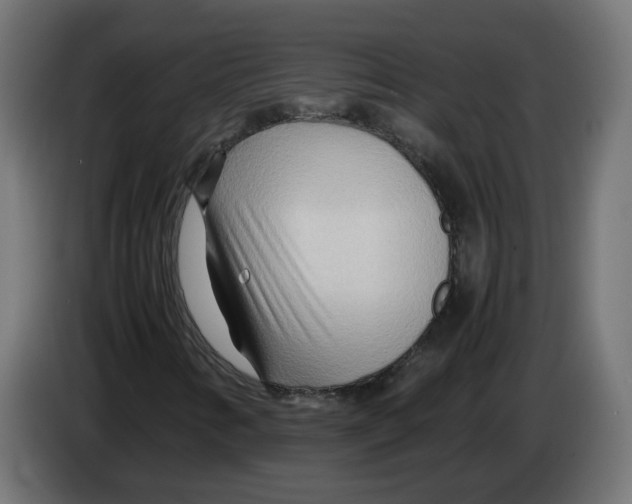 X0000082951346200703020140