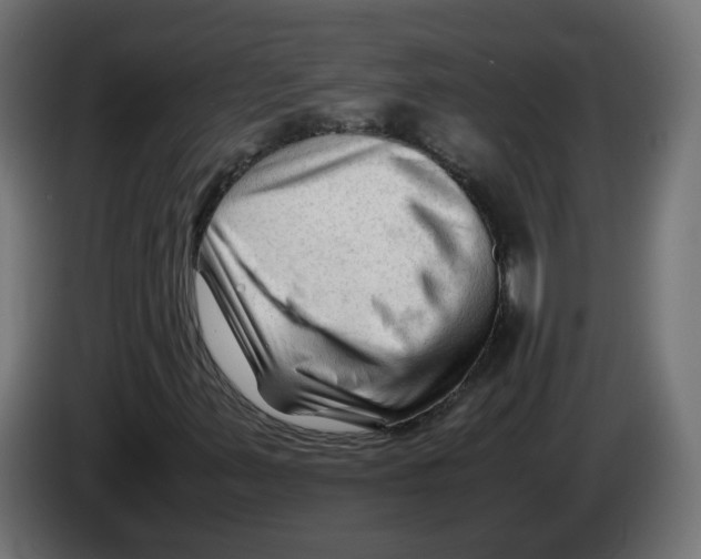 X0000082951347200703020140