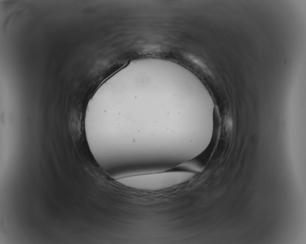 X0000082951348200703020140