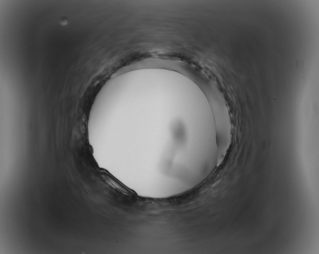 X0000082951349200703020140