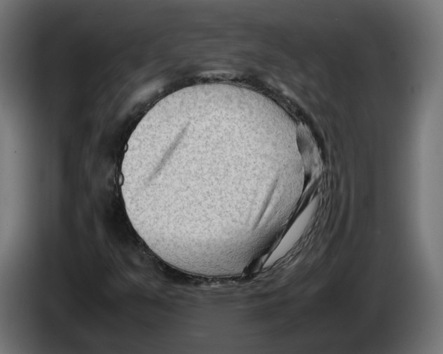 X0000082951351200703020140