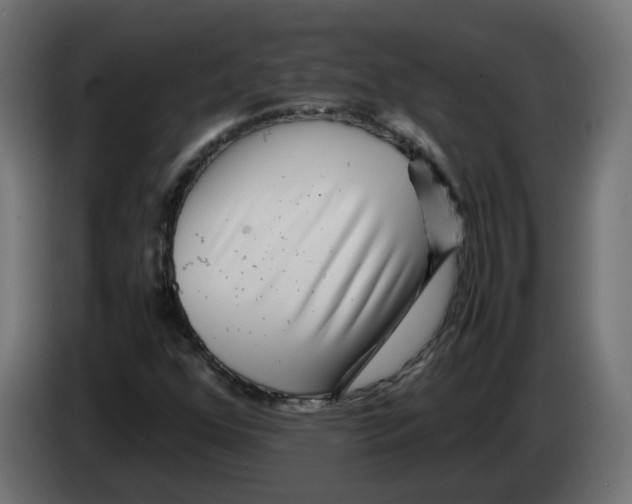 X0000082951352200703020140