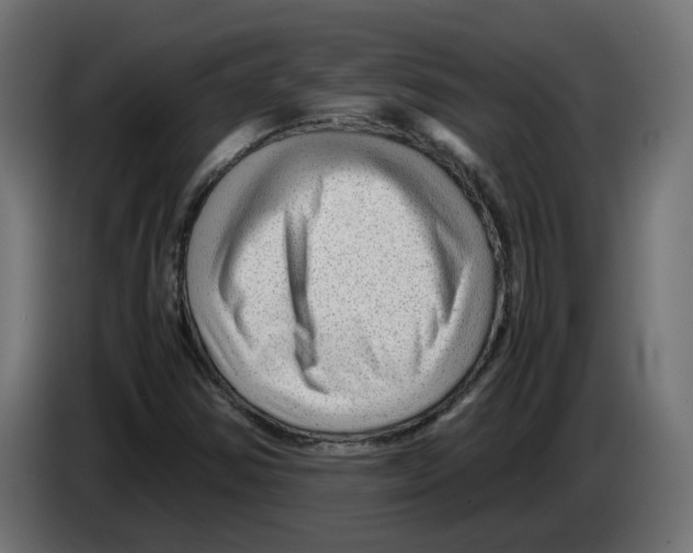 X0000082951354200703020140