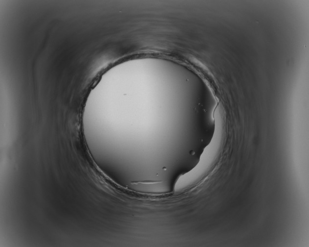 X0000082951355200703020140