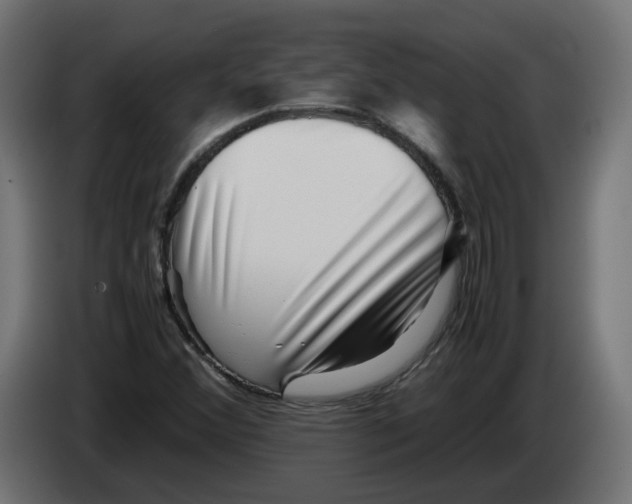 X0000082951356200703020140