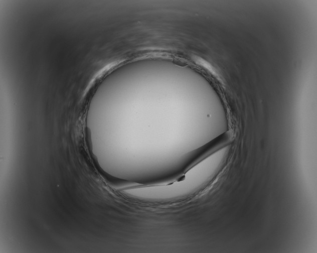 X0000082951357200703020140