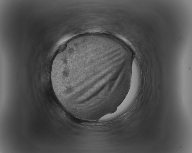 X0000082951359200703020140