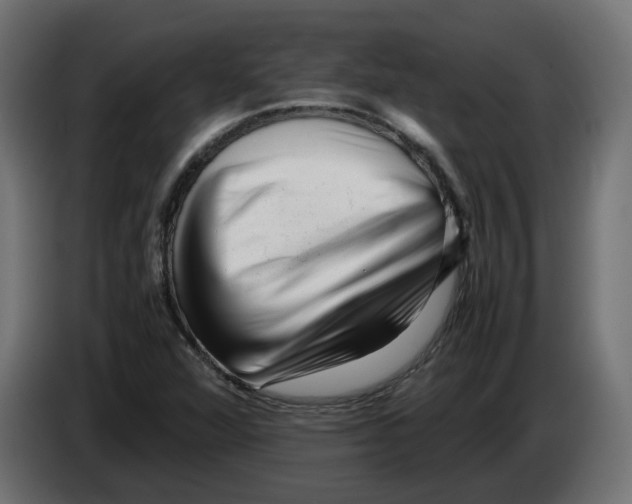 X0000082951360200703020140