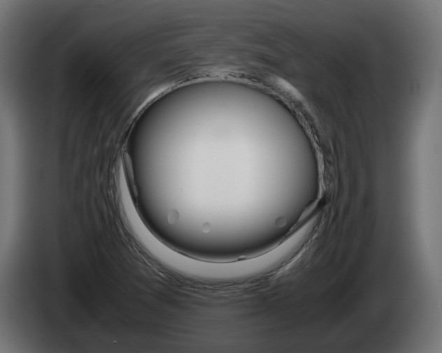 X0000082951361200703020140