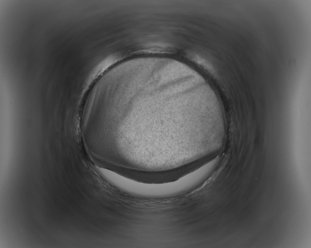 X0000082951362200703020140