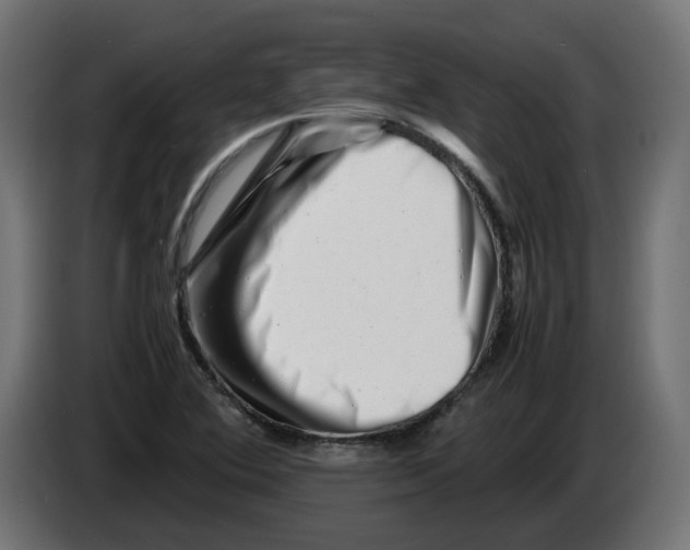 X0000082951364200703020140