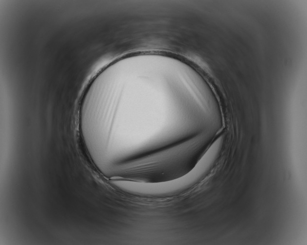 X0000082951366200703020140