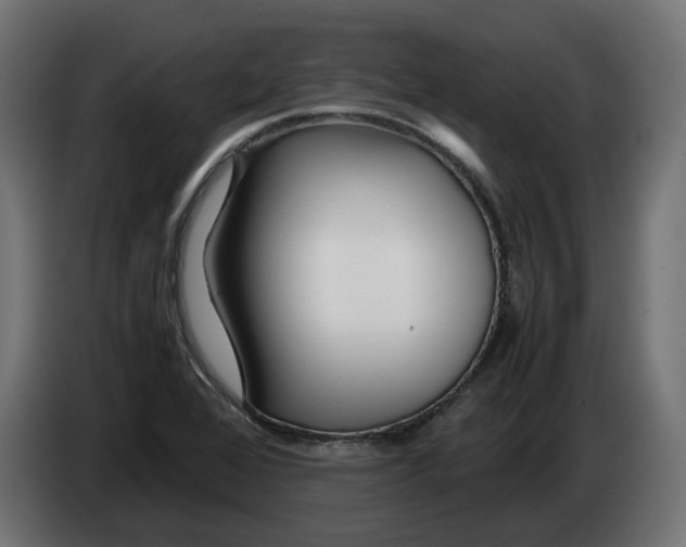 X0000082951368200703020140