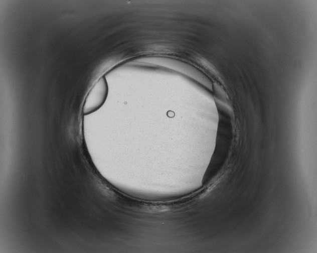 X0000082951370200703020140