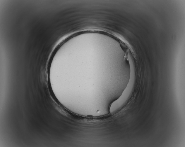 X0000082951372200703020140