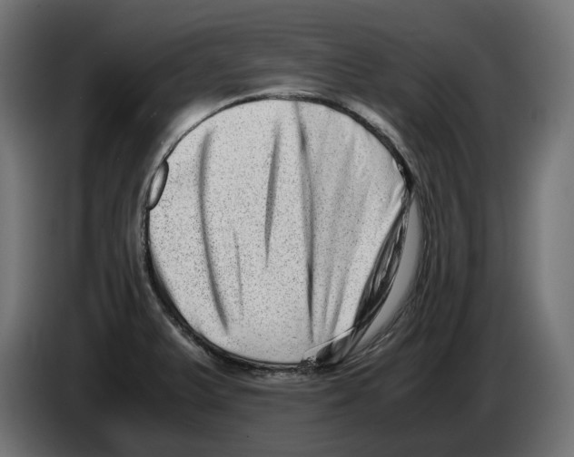 X0000082951375200703020140