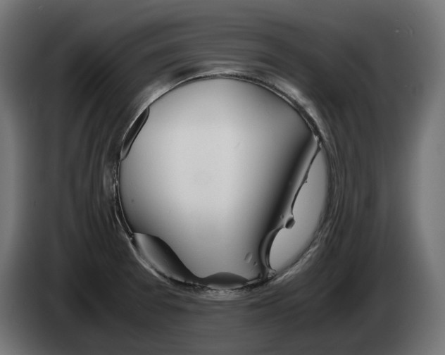 X0000082951377200703020140