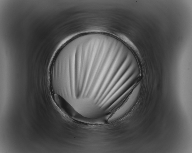 X0000082951380200703020140