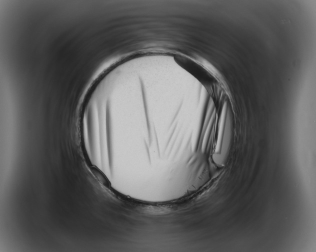 X0000082951384200703020140