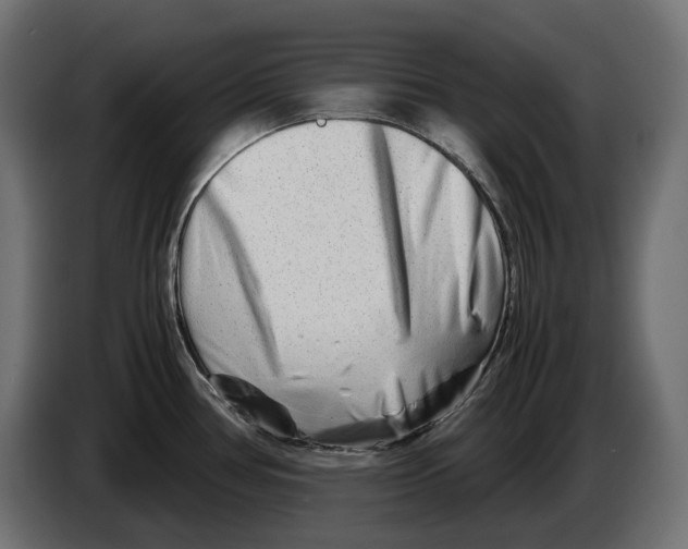 X0000082951386200703020140