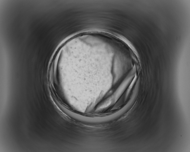 X0000082951388200703020140