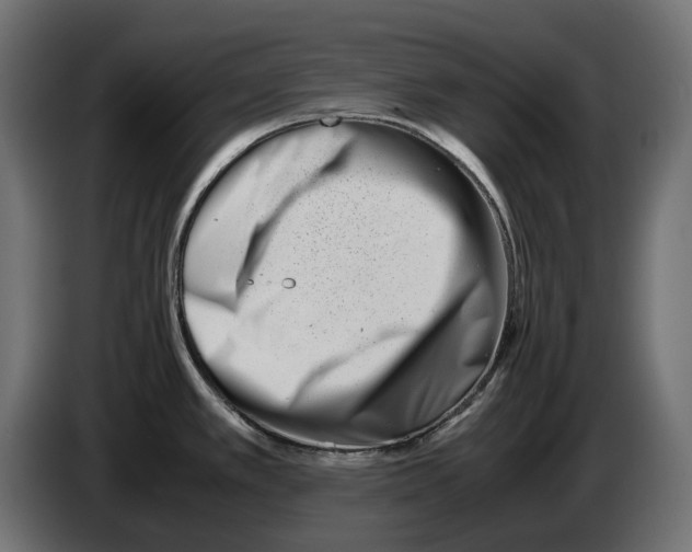 X0000082951389200703020140