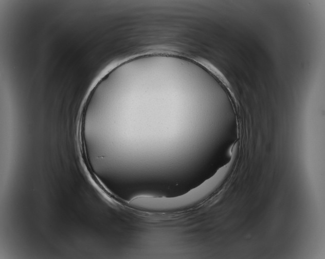 X0000082951391200703020140